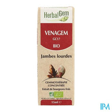 Load image into Gallery viewer, Herbalgem Venagem Complex 15ml
