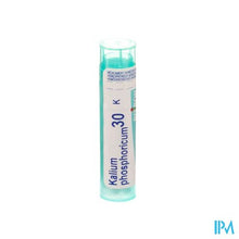 Load image into Gallery viewer, Kalium Phosphoricum 30k Gr 4g Boiron
