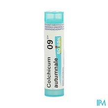 Afbeelding in Gallery-weergave laden, Colchicum Autumnale 9ch Gr 4g Boiron
