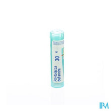 Charger l'image dans la galerie, Phytolacca Decandra 30k Gr 4g Boiron
