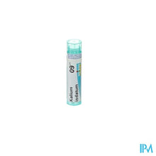 Charger l'image dans la galerie, Kalium Iodatum 9ch Gr 4g Boiron
