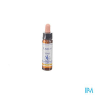 Healing Herbs Larch 10ml