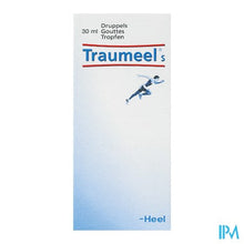 Charger l'image dans la galerie, Traumeel S Druppels 30ml Heel
