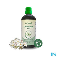 Bild in der Galerieansicht laden, Phytobell Crataecin Nf Gutt 100ml
