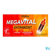 Afbeelding in Gallery-weergave laden, Vitaflor Megavital Extraboost Amp 7x10ml
