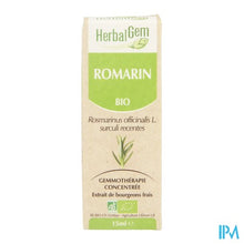 Afbeelding in Gallery-weergave laden, Herbalgem Rozemarijn Maceraat 15ml
