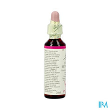 Load image into Gallery viewer, Bach Flower Remedie 29 Star Bethlehem 20ml
