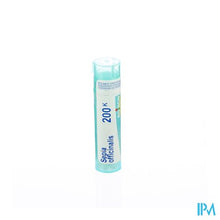 Load image into Gallery viewer, Sepia Officinalis 200k Gr 4g Boiron
