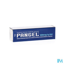 Charger l'image dans la galerie, Pangel 10 % Gel 60g
