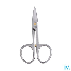 Nagelschaar Recht Inox Blinkend