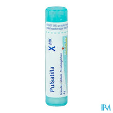 Afbeelding in Gallery-weergave laden, Pulsatilla Xmk Gr 4g Boiron
