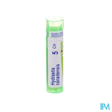Charger l'image dans la galerie, Hydrastis Canadensis 5ch Gr 4g Boiron
