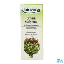 Afbeelding in Gallery-weergave laden, Artisjok Tinct Bio 50ml Biov
