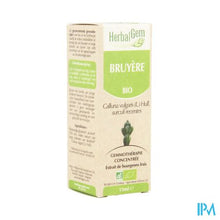 Charger l'image dans la galerie, Herbalgem Struikhei Unitair Moedermaceraat 15ml

