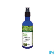 Altho Eau Florale Menthe Poivree Bio 200ml