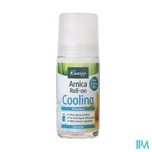Charger l'image dans la galerie, Kneipp Arnica Roll-on Verkoelend 50ml
