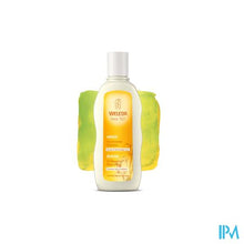 Load image into Gallery viewer, Weleda Haver Herstellende Shampoo 190ml
