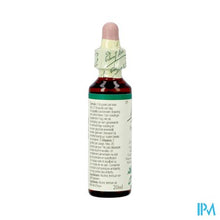 Afbeelding in Gallery-weergave laden, Bach Flower Remedie 15 Holly 20ml
