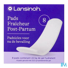 Afbeelding in Gallery-weergave laden, Lansinoh Post Partum Padsicles 8
