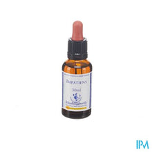 Afbeelding in Gallery-weergave laden, Healing Herbs Impatiens 30ml
