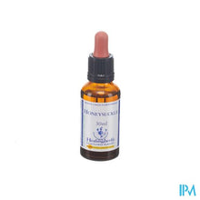 Charger l'image dans la galerie, Healing Herbs Honeysuckle 30ml
