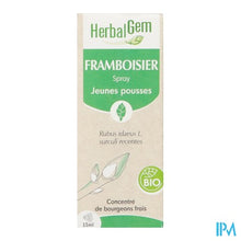 Charger l'image dans la galerie, Herbalgem Frambozenstruik Bio Spray 15ml

