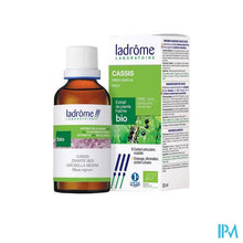 Afbeelding in Gallery-weergave laden, Ladrome Ribes Nigrum/zwarte Bes 50ml
