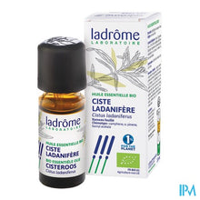 Afbeelding in Gallery-weergave laden, Ladrome Cistus Ladaniferus - Cisteroos 10ml
