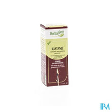 Charger l'image dans la galerie, Herbalgem Kastanje Maceraat 15ml
