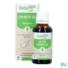 Afbeelding in Gallery-weergave laden, Herbalgem Els Bio 30ml
