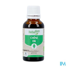 Afbeelding in Gallery-weergave laden, Herbalgem Eik Bio 30ml
