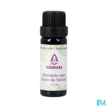 Load image into Gallery viewer, Sjankara Spar, Siberische Etherisch Olie 11ml
