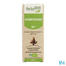 Charger l'image dans la galerie, Herbalgem Paardekastanje Maceraat 15ml

