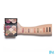 Load image into Gallery viewer, Tlc Palette Oap Eventail Nuit Etoilee 18g
