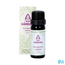 Afbeelding in Gallery-weergave laden, Sjankara Eucalyptus Radiata Ess. Olie Bio 11ml
