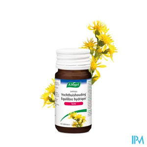 A.Vogel Solidago forte 60 tabletten