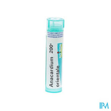 Afbeelding in Gallery-weergave laden, Anacardium Orientale 200k Gr 4g Boiron
