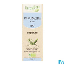 Charger l'image dans la galerie, Herbalgem Depuragem Complex 50ml
