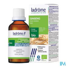 Charger l'image dans la galerie, Ladrome Panax Ginseng /echte Ginseng 50ml
