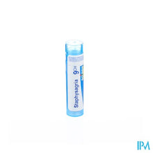 Charger l'image dans la galerie, Staphysagria 9ch Gr 4g Boiron
