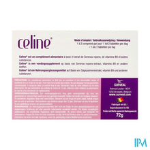 Afbeelding in Gallery-weergave laden, Celine Comp 60 Nf
