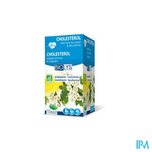Charger l'image dans la galerie, Biolys Meidoorn-kurkuma Bio Tea-bags 20
