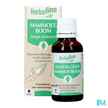 Load image into Gallery viewer, Herbalgem Mammoetboom Bio 30ml
