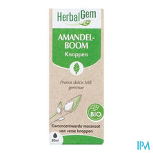 Afbeelding in Gallery-weergave laden, Herbalgem Amandel Bio 30ml
