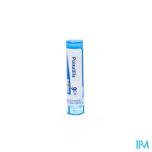 Charger l'image dans la galerie, Pulsatilla 9ch Gr 4g Boiron
