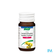 Load image into Gallery viewer, A.Vogel Solidago forte 60 tabletten
