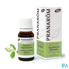 Load image into Gallery viewer, Pranarom Eo Bergthee Bio 10ml
