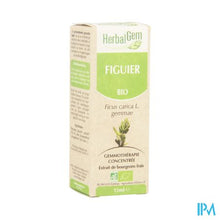 Load image into Gallery viewer, Herbalgem Vijgenboom Maceraat 15ml
