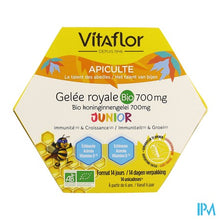 Afbeelding in Gallery-weergave laden, Vitaflor Koninginnengelei Bio Def.+ Junior 1500mg
