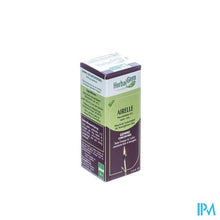 Afbeelding in Gallery-weergave laden, Herbalgem Rode Bosbes Maceraat 15ml
